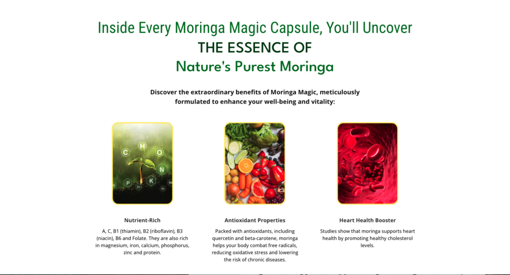 TRY MORINGA TODAY THE MOST POWERFUL PLANT ON THE PLANET